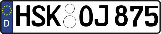 HSK-OJ875