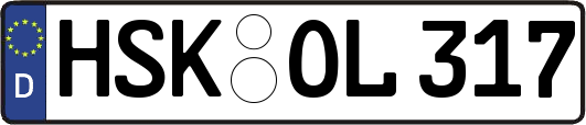 HSK-OL317