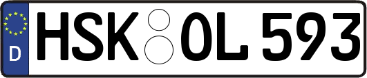 HSK-OL593