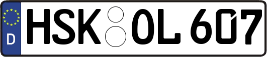 HSK-OL607