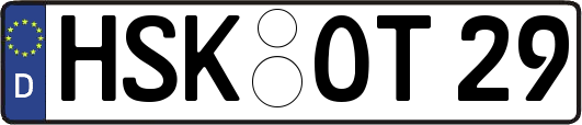 HSK-OT29