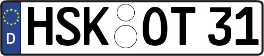 HSK-OT31