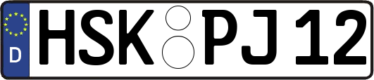 HSK-PJ12