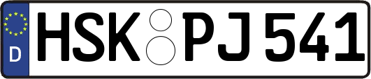 HSK-PJ541