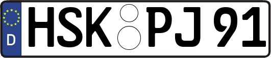 HSK-PJ91