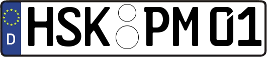 HSK-PM01