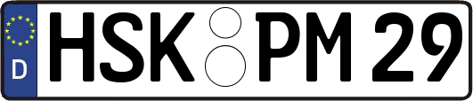 HSK-PM29
