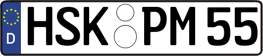 HSK-PM55