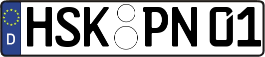 HSK-PN01