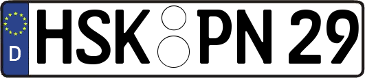 HSK-PN29