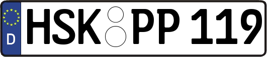 HSK-PP119