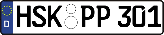 HSK-PP301