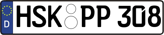 HSK-PP308