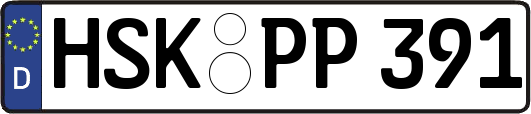 HSK-PP391
