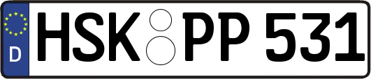 HSK-PP531