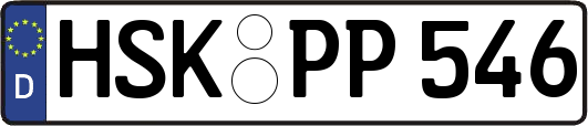 HSK-PP546