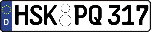 HSK-PQ317