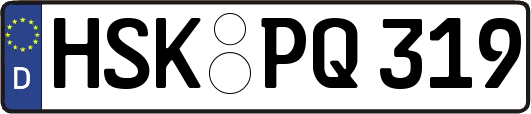 HSK-PQ319