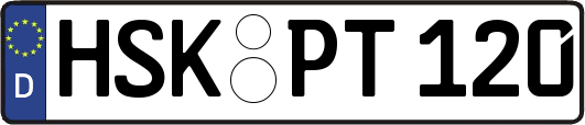 HSK-PT120