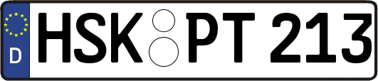 HSK-PT213
