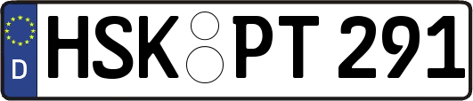HSK-PT291