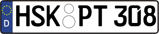 HSK-PT308
