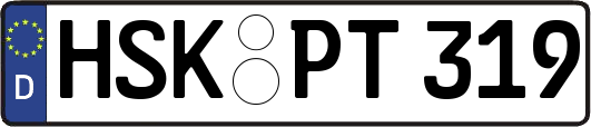 HSK-PT319