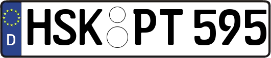 HSK-PT595