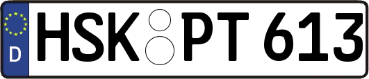 HSK-PT613
