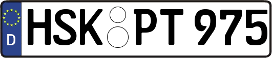 HSK-PT975