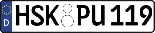 HSK-PU119