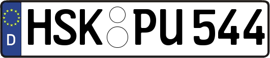 HSK-PU544
