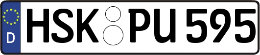 HSK-PU595