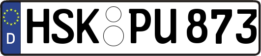 HSK-PU873