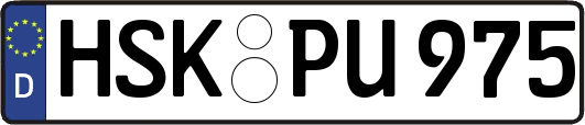 HSK-PU975