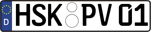HSK-PV01
