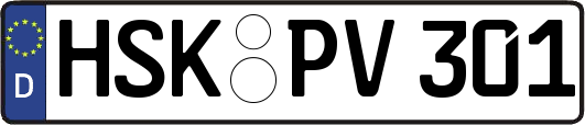 HSK-PV301