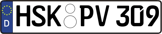 HSK-PV309