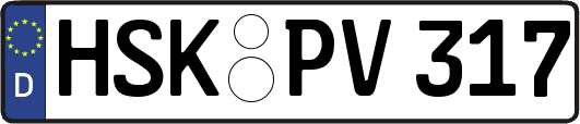 HSK-PV317