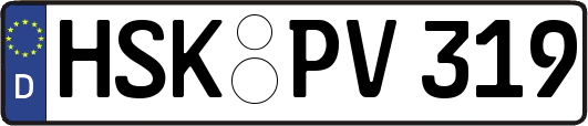 HSK-PV319