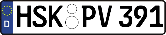 HSK-PV391