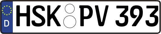 HSK-PV393