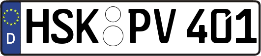 HSK-PV401