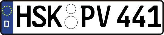 HSK-PV441