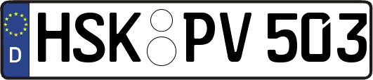 HSK-PV503