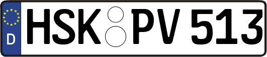 HSK-PV513