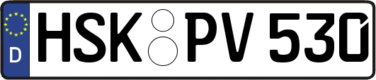 HSK-PV530