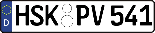 HSK-PV541