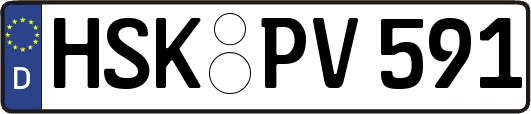 HSK-PV591