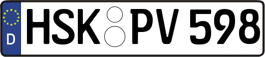 HSK-PV598